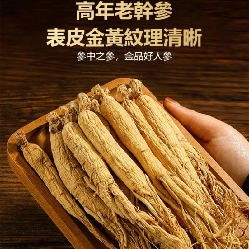 長白山精品人參